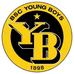BSC Young Boys-logo